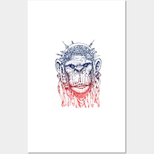 ape evolution line Posters and Art